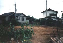 整地