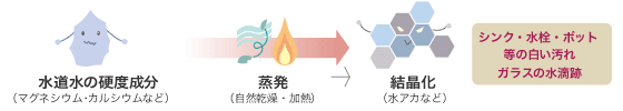 硬水と軟水の違いって？