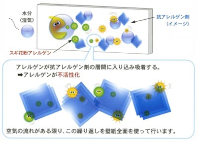 アレルゲン不活性化メカニズム