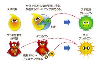 家の役立ち情報